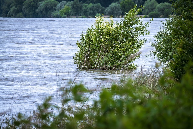 tempête